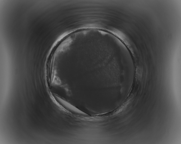 X0000084580998200703231839