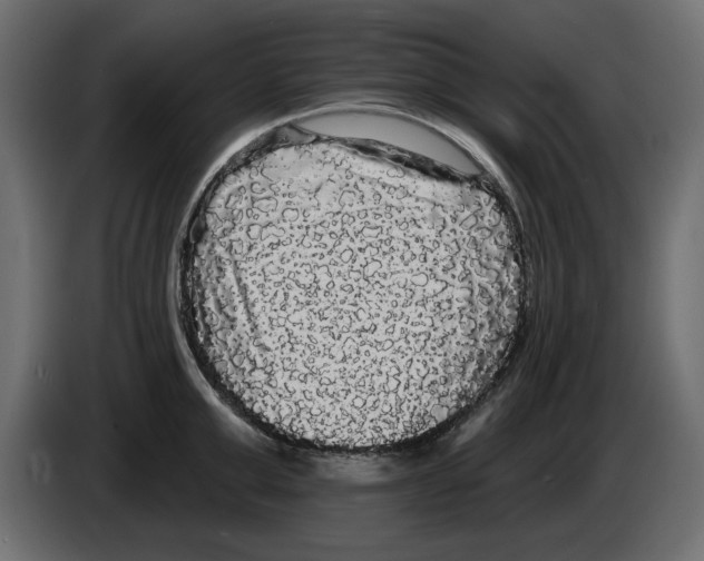 X0000084580999200703231839