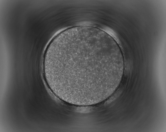 X0000084581000200703231839