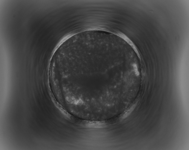 X0000084581002200703231839