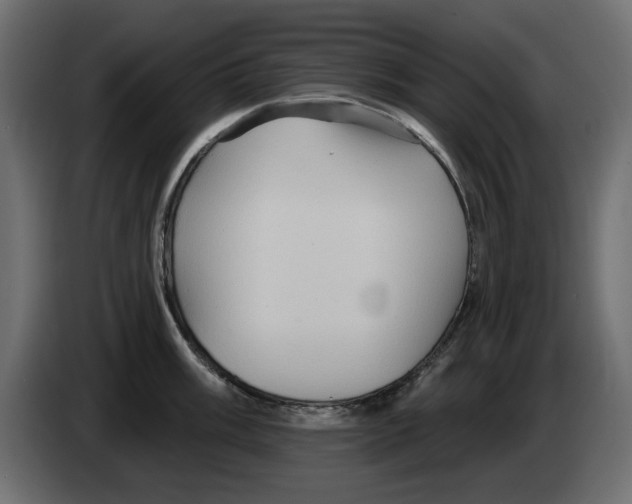 X0000084581003200703231839