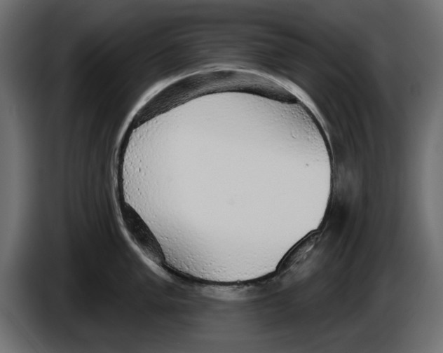 X0000084581005200703231839