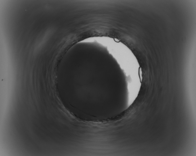 X0000084581009200703231838