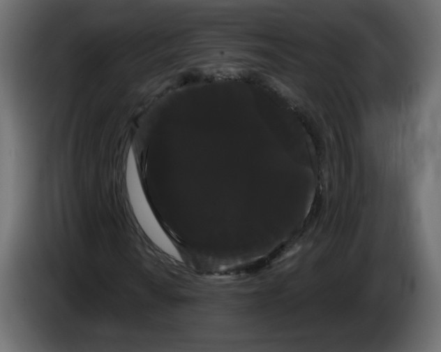 X0000084581010200703231838