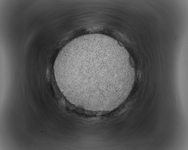 X0000084581012200703231838