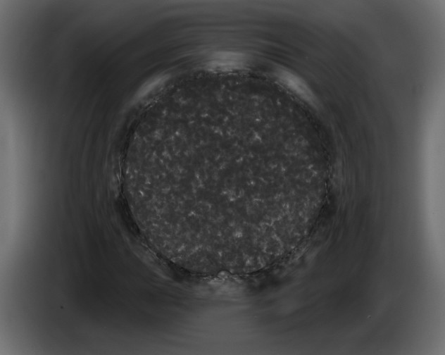 X0000084581015200703231838