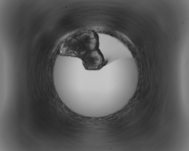 X0000084581016200703231838