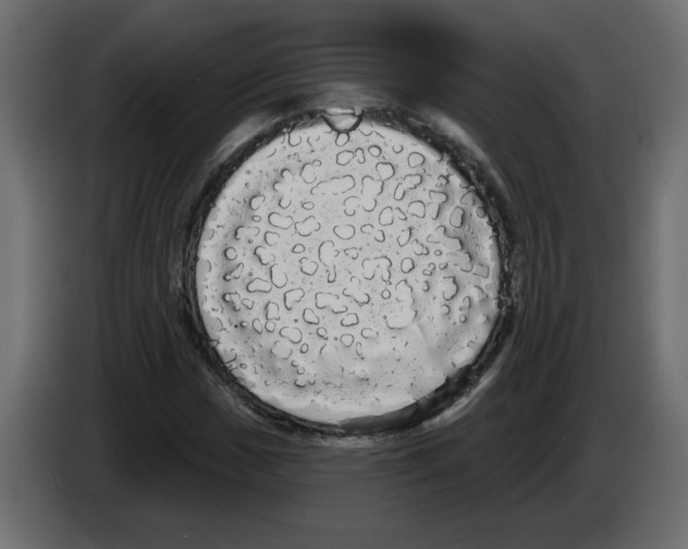 X0000084581017200703231838
