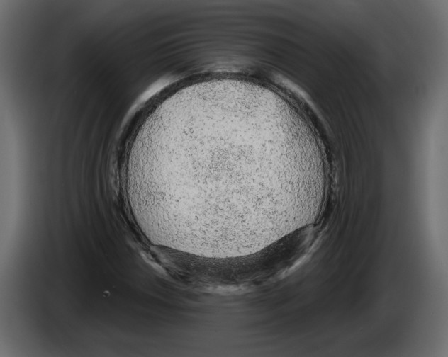 X0000084581018200703231838