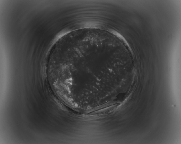 X0000084581019200703231838