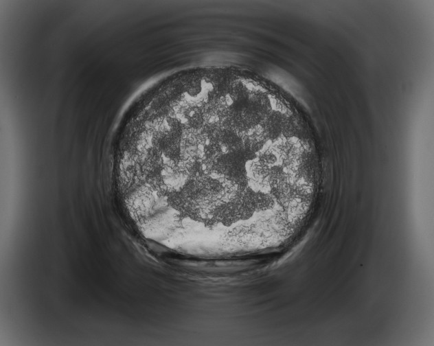 X0000084581021200703231838