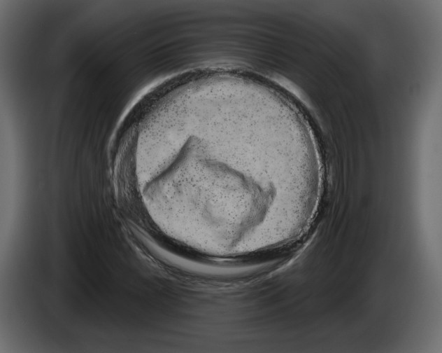 X0000084581022200703231838