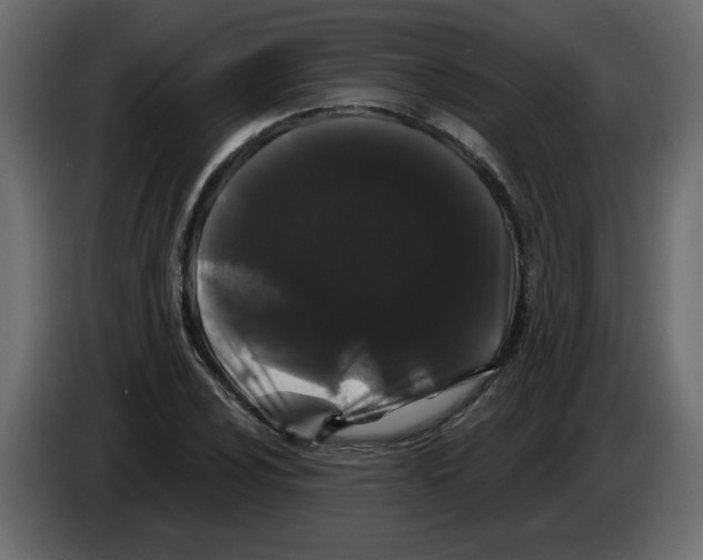 X0000084581024200703231838