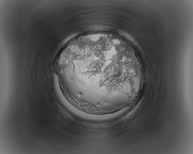 X0000084581025200703231838