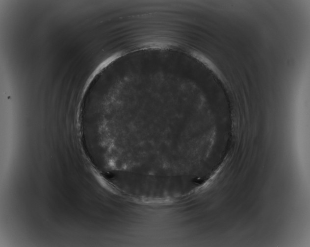X0000084581026200703231838