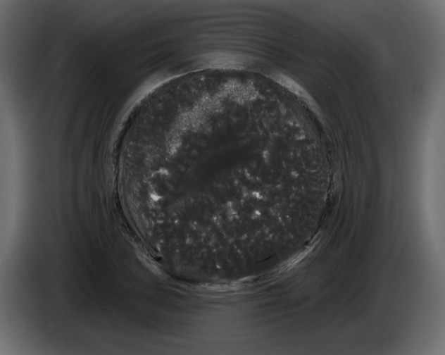 X0000084581027200703231838
