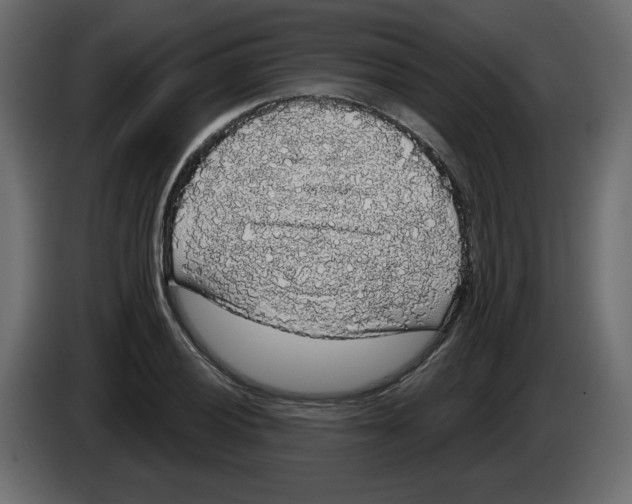 X0000084581028200703231838