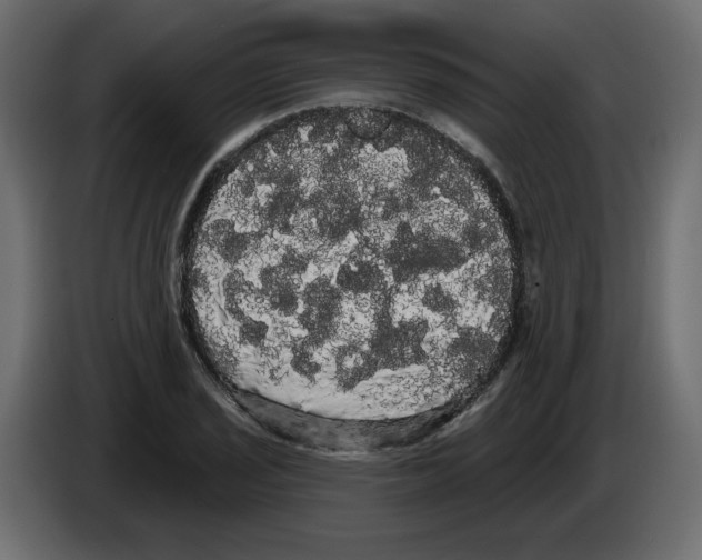 X0000084581029200703231838