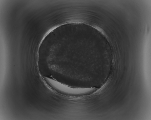 X0000084581030200703231839