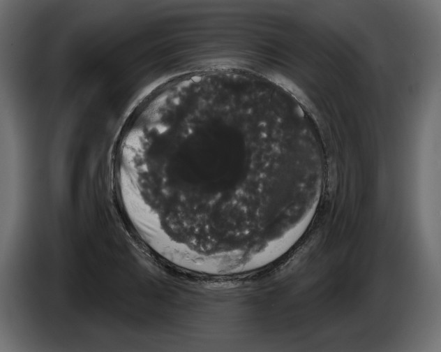 X0000084581031200703231839