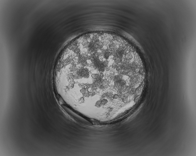 X0000084581033200703231839