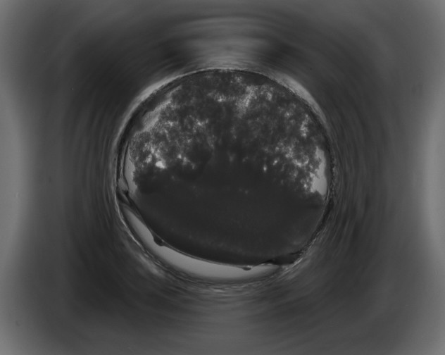 X0000084581035200703231839