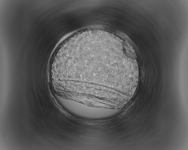 X0000084581036200703231839