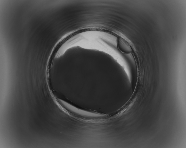 X0000084581037200703231839