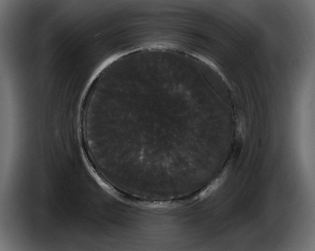 X0000084581038200703231839