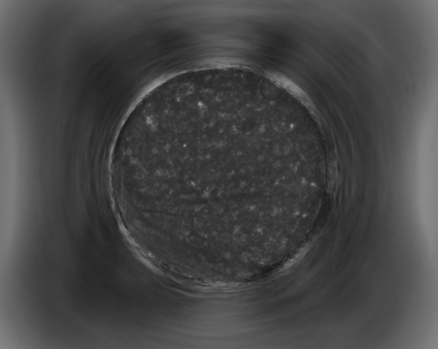 X0000084581039200703231839