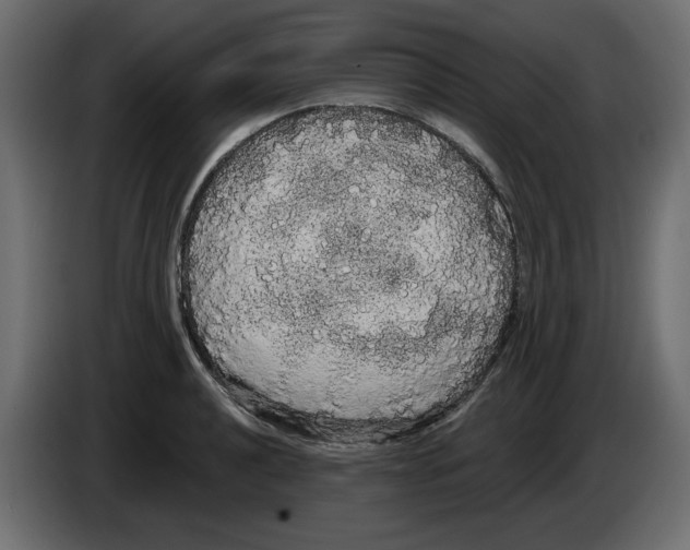 X0000084581040200703231839