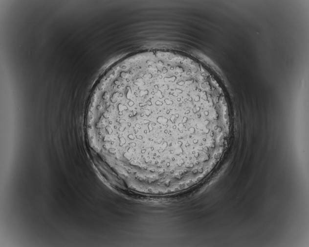X0000084581041200703231839