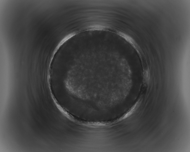 X0000084581042200703231839