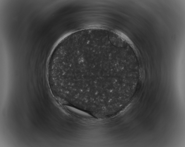 X0000084581043200703231839