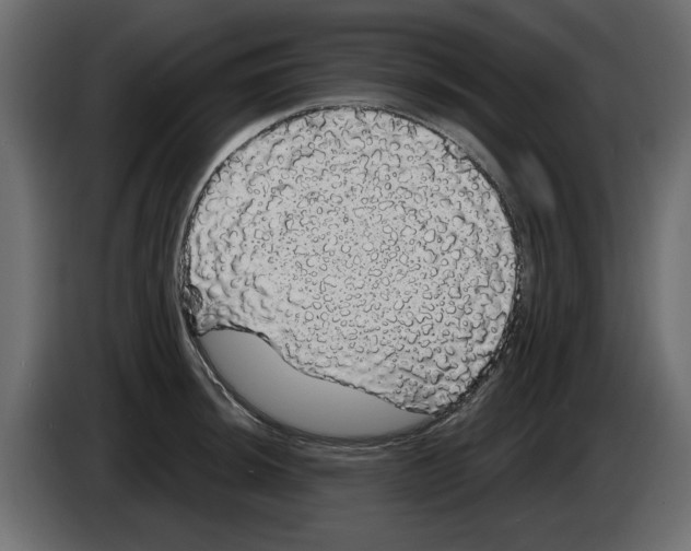X0000084581044200703231839