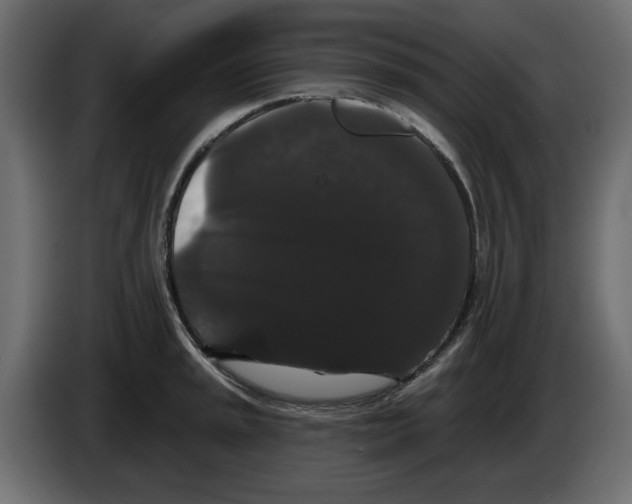 X0000084581045200703231839