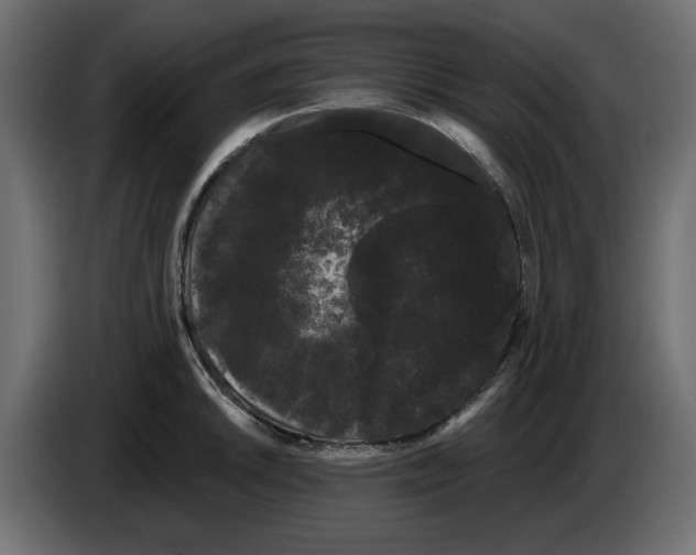 X0000084581046200703231839