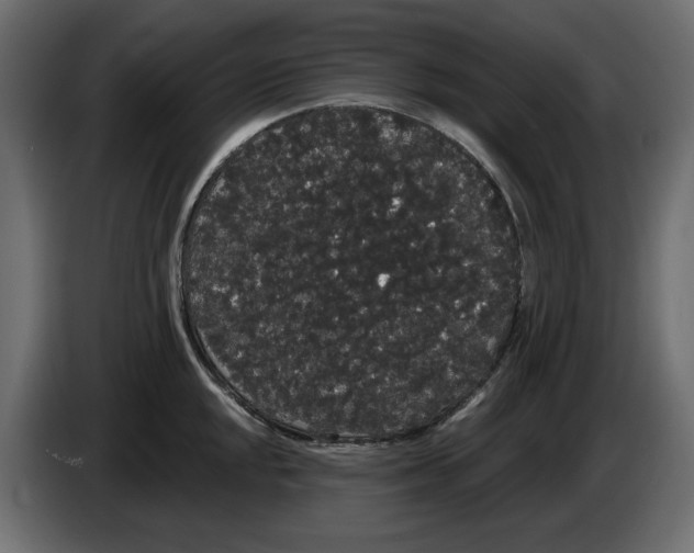 X0000084581048200703231839