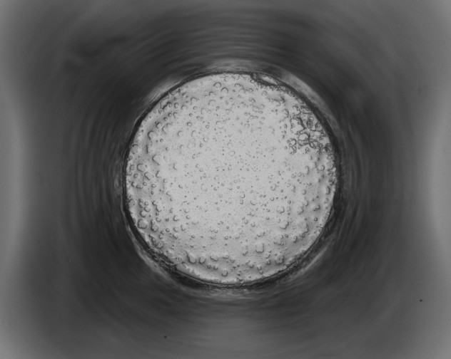 X0000084581049200703231839