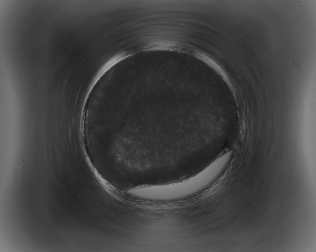 X0000084581050200703231839