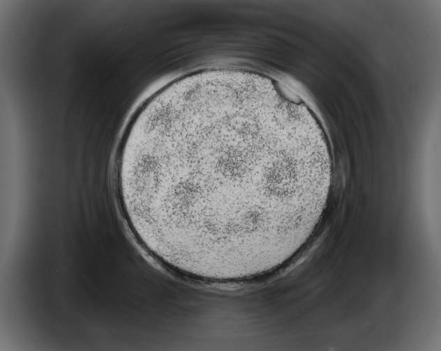 X0000084581053200703231839