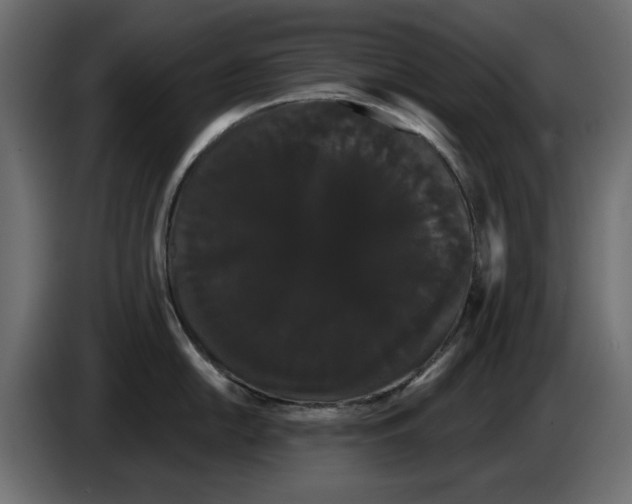 X0000084581054200703231839