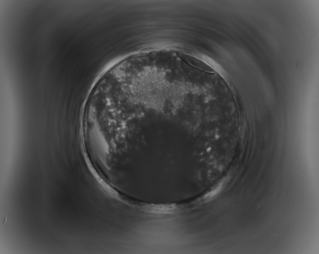 X0000084581055200703231839