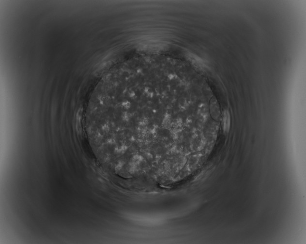 X0000084581059200703231838