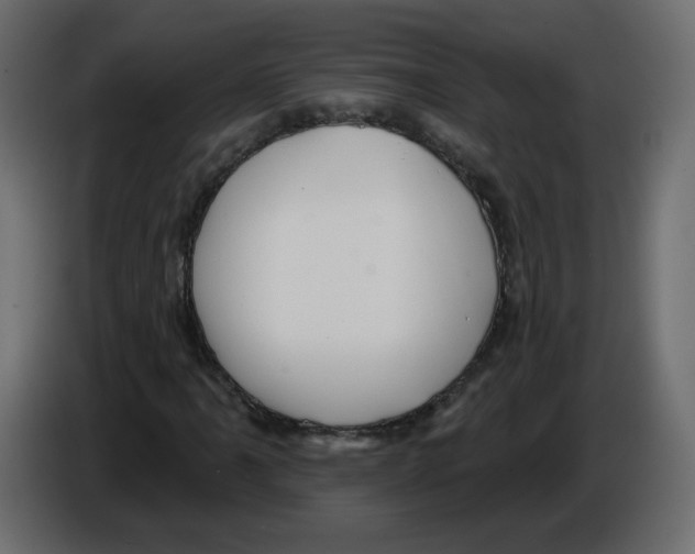 X0000084581061200703231838
