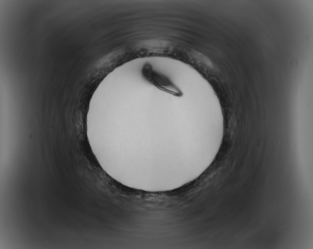 X0000084581062200703231838