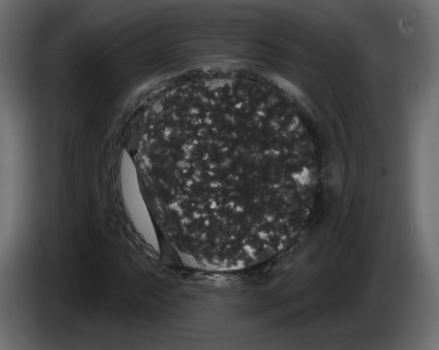 X0000084581063200703231838