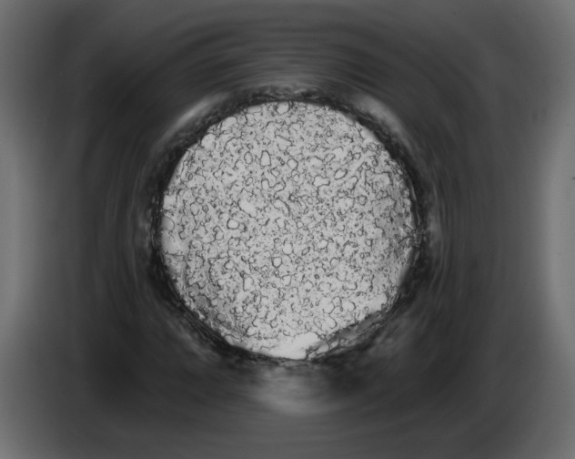 X0000084581064200703231838