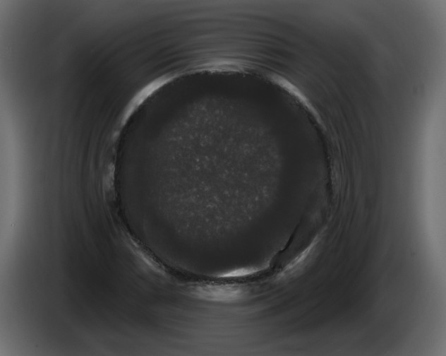 X0000084581066200703231838