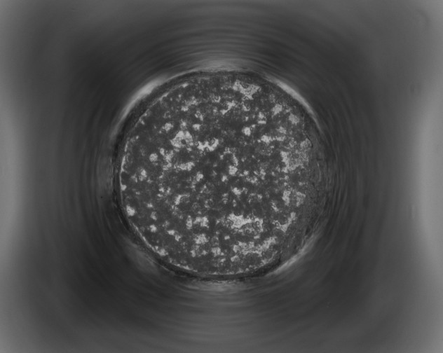 X0000084581067200703231838